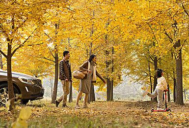 《命运2：凌光之刻》神隐赛季预告片 觉醒女王回归幽梦之城